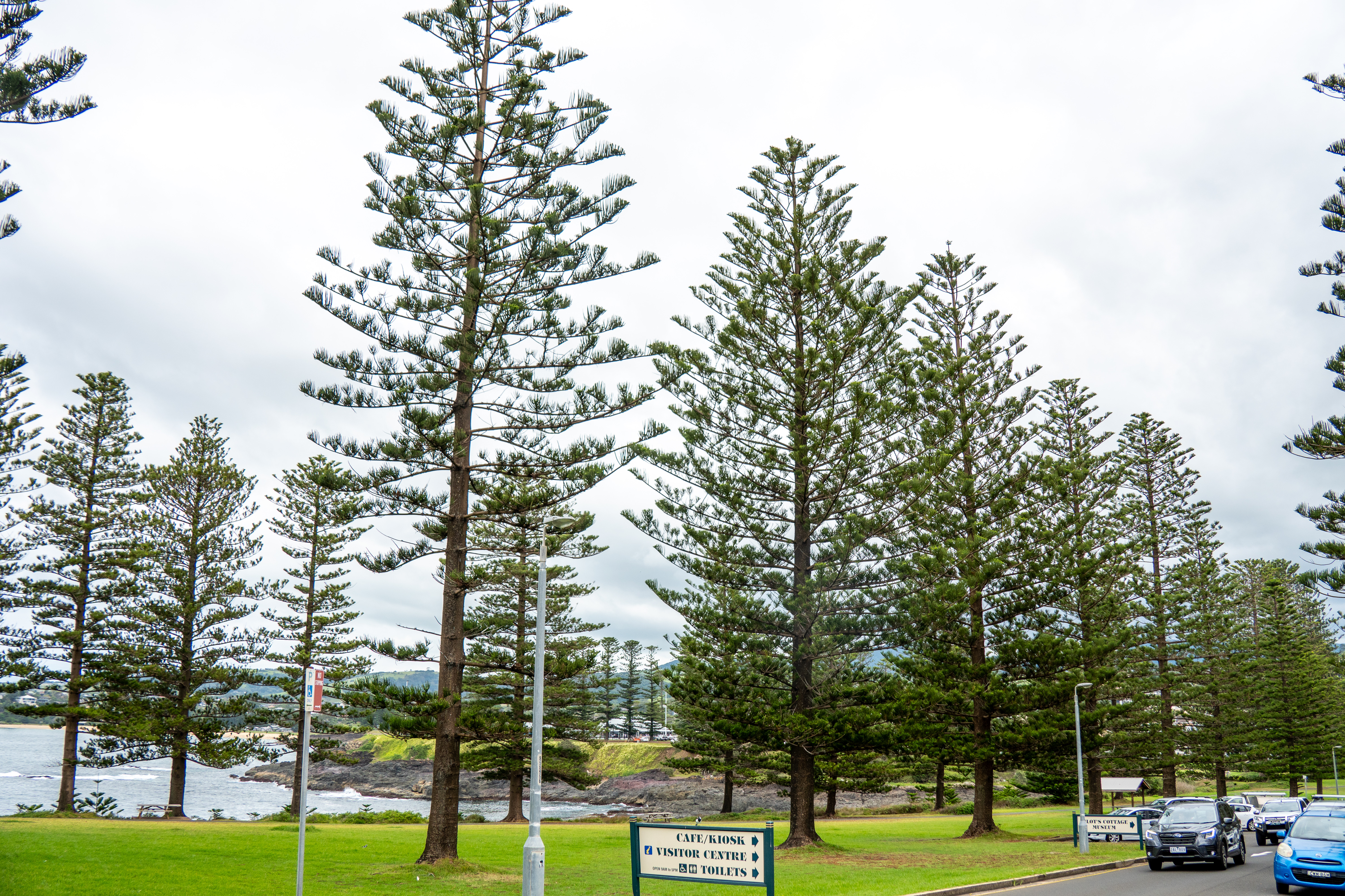 Australia — photograph 52