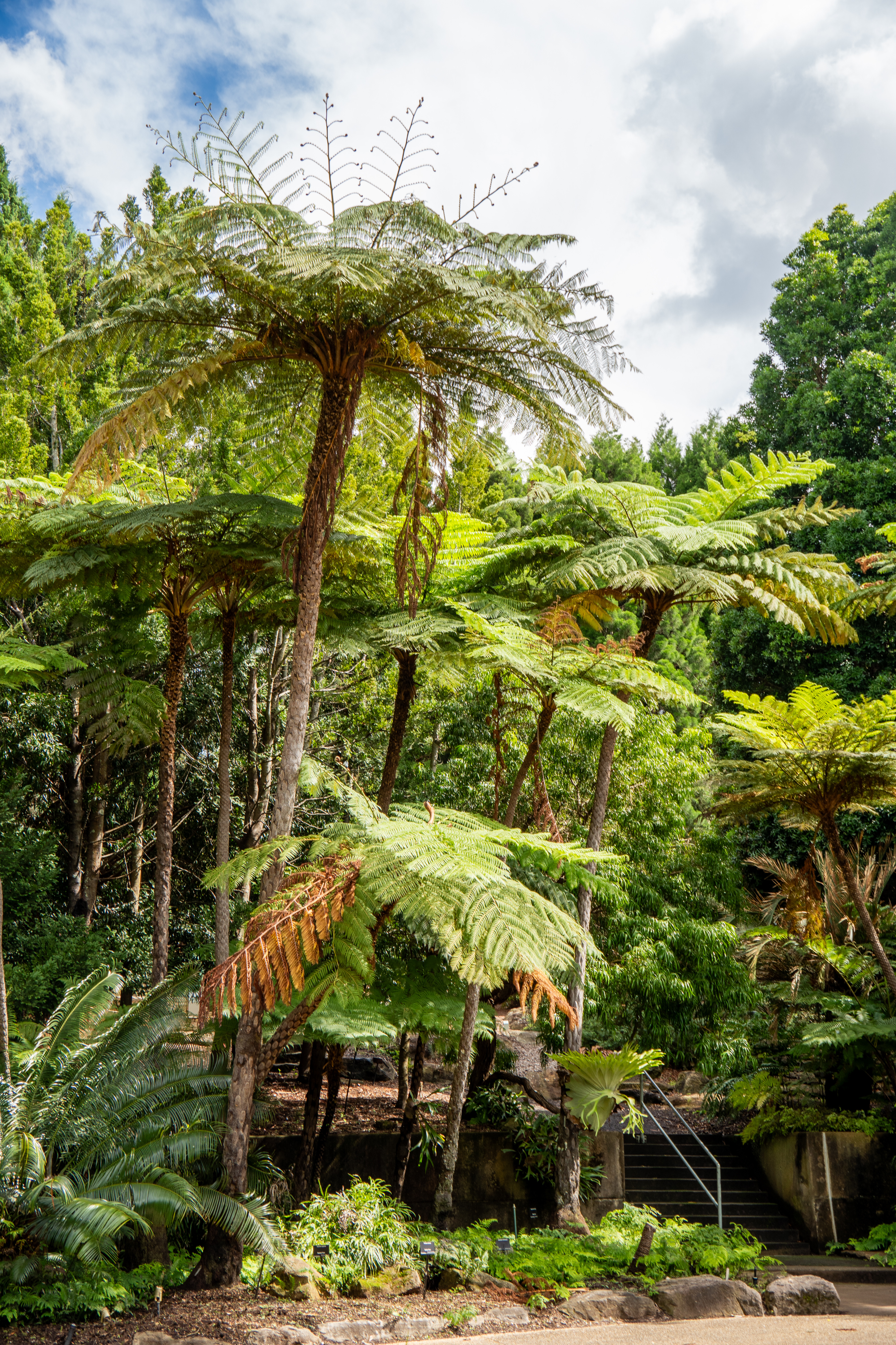 Australia — photograph 72
