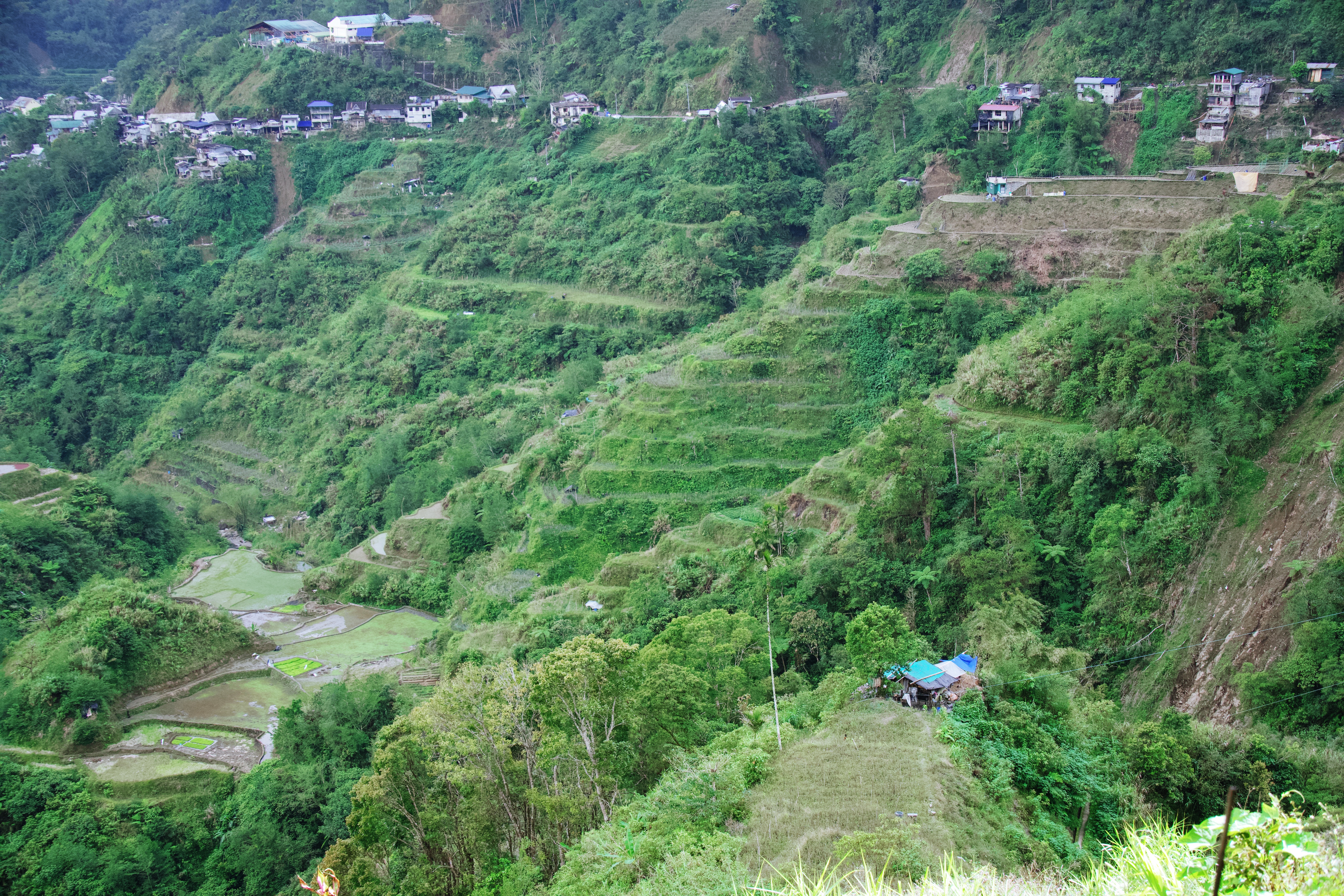 Banaue & Sagada — photograph 1