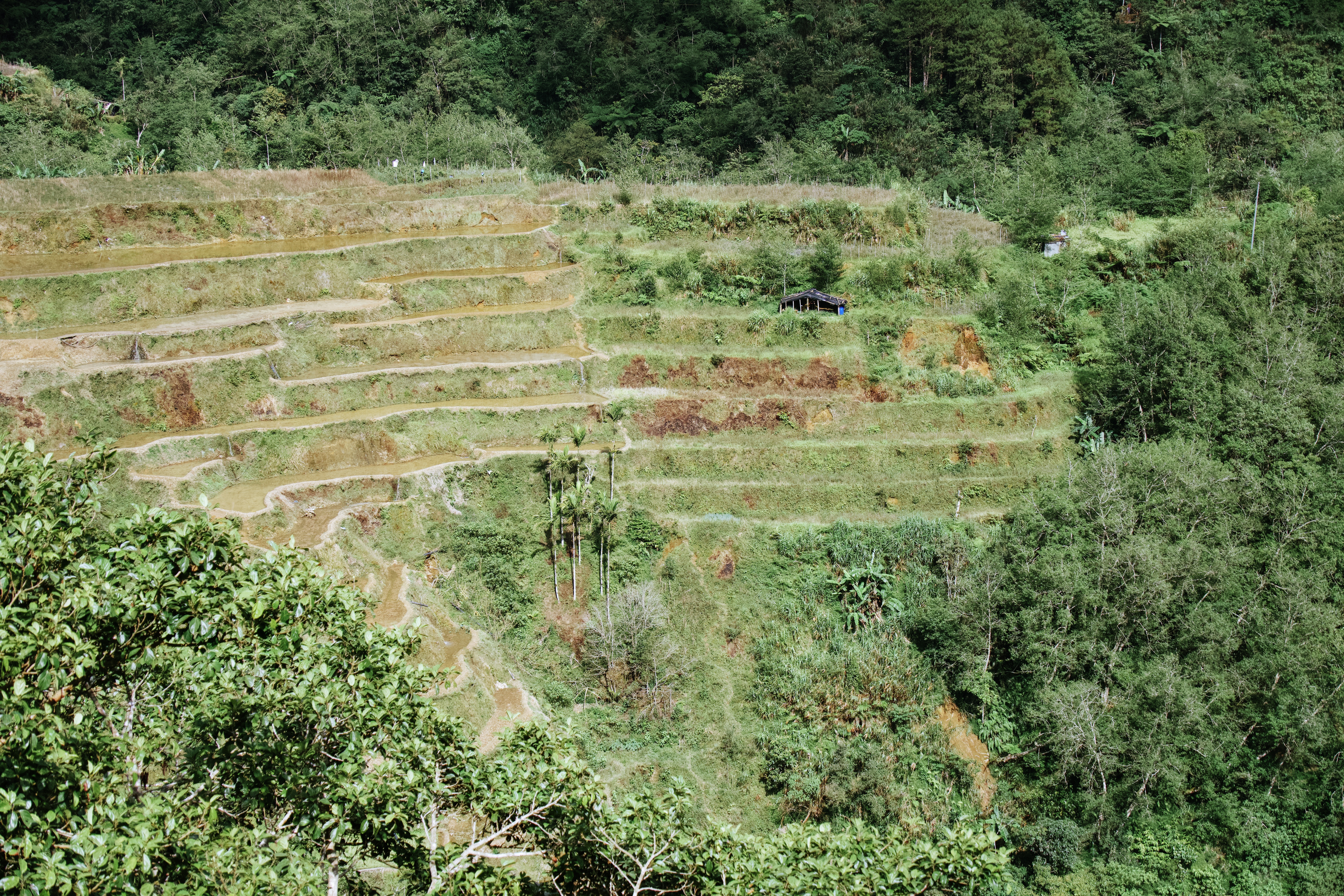 Banaue & Sagada — photograph 3