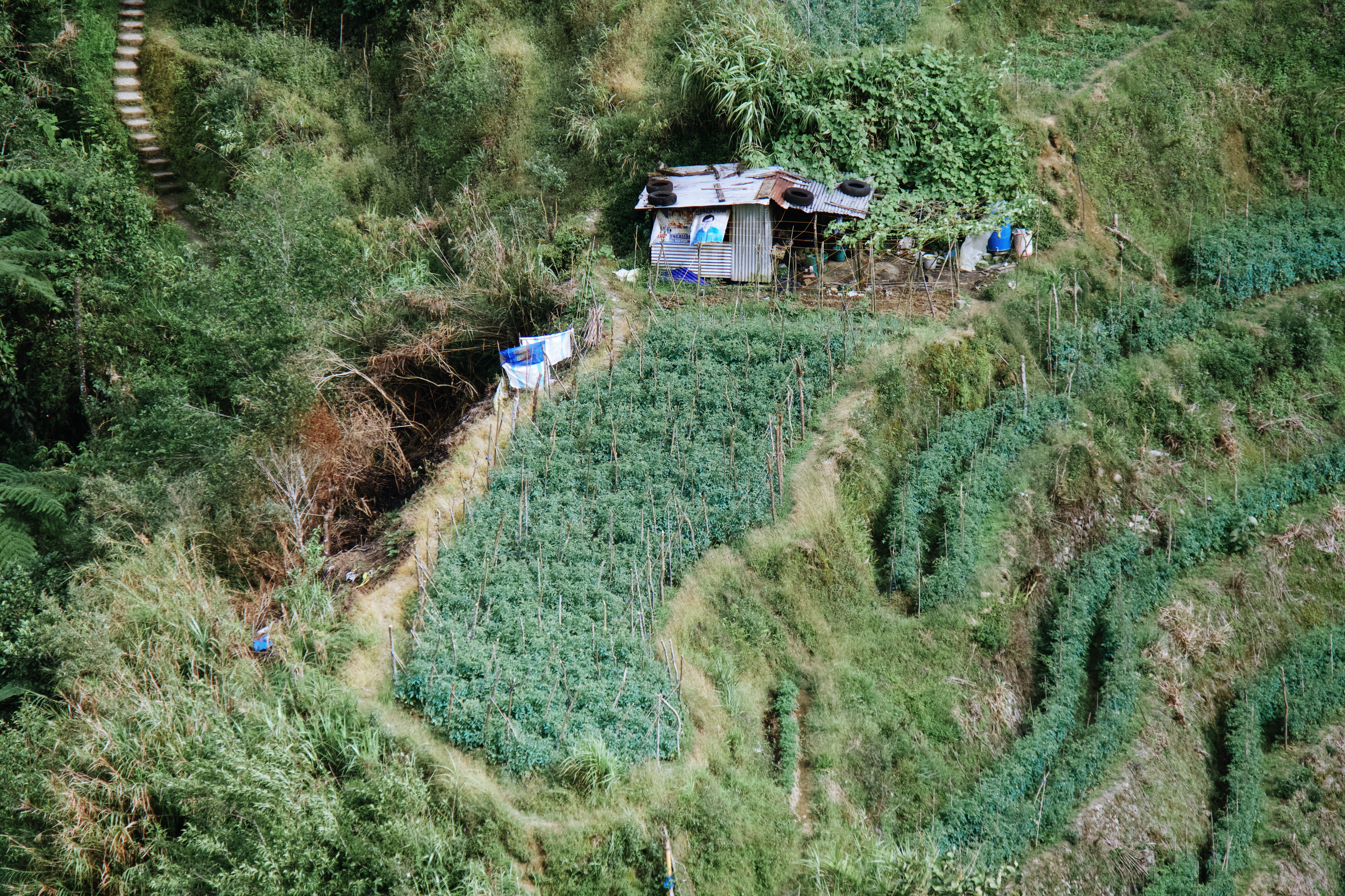 Banaue & Sagada — photograph 4