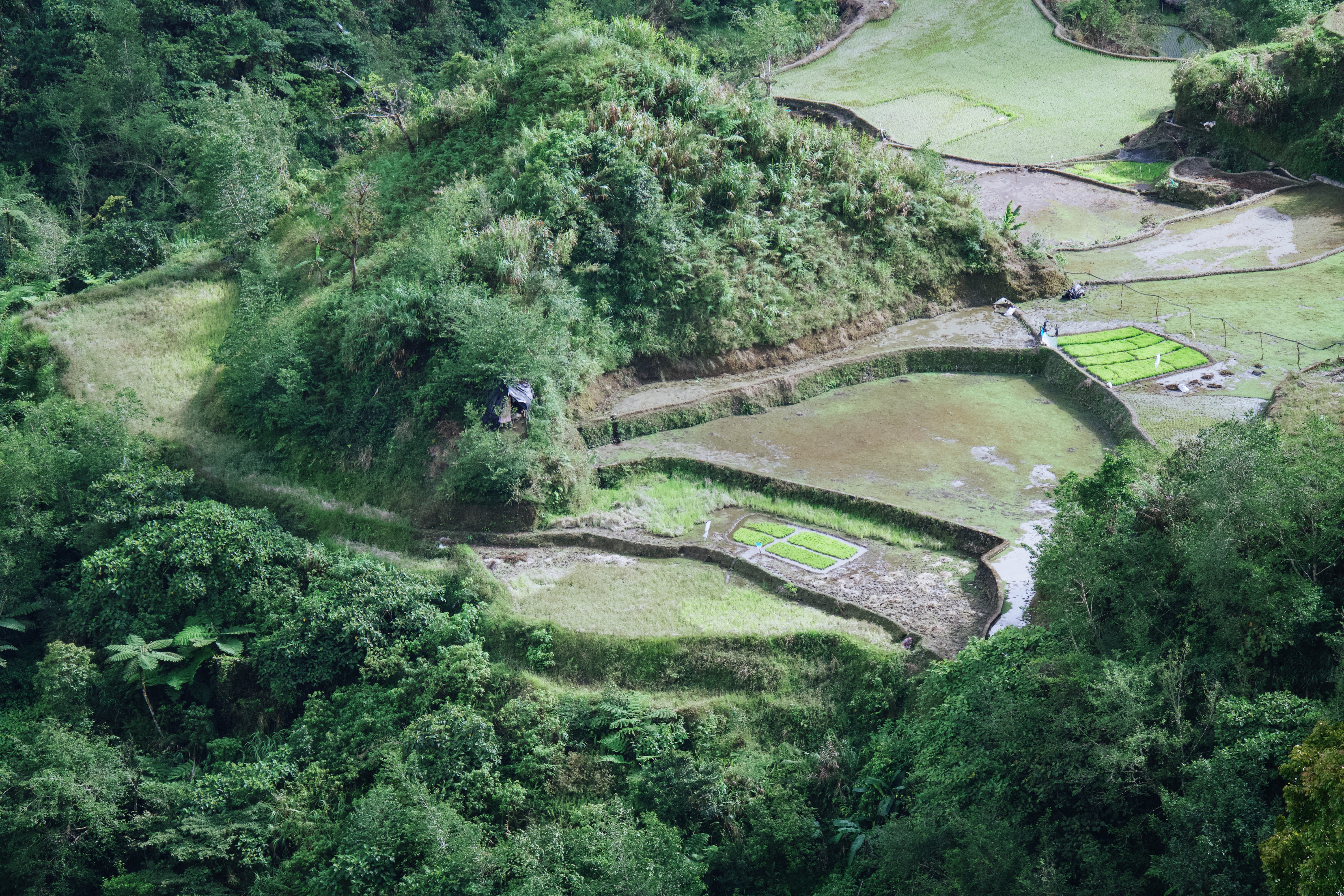 Banaue & Sagada — photograph 5