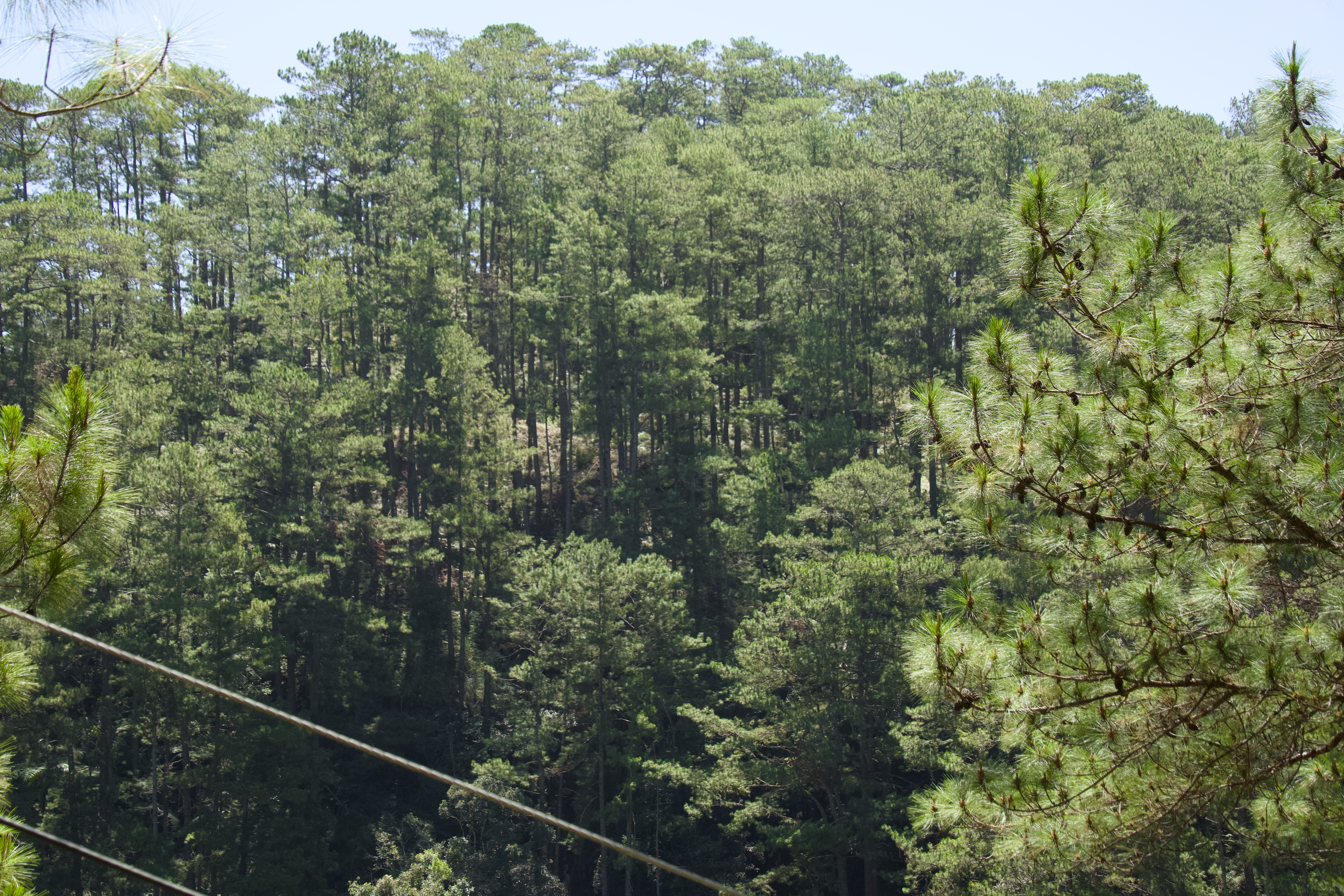Banaue & Sagada — photograph 6