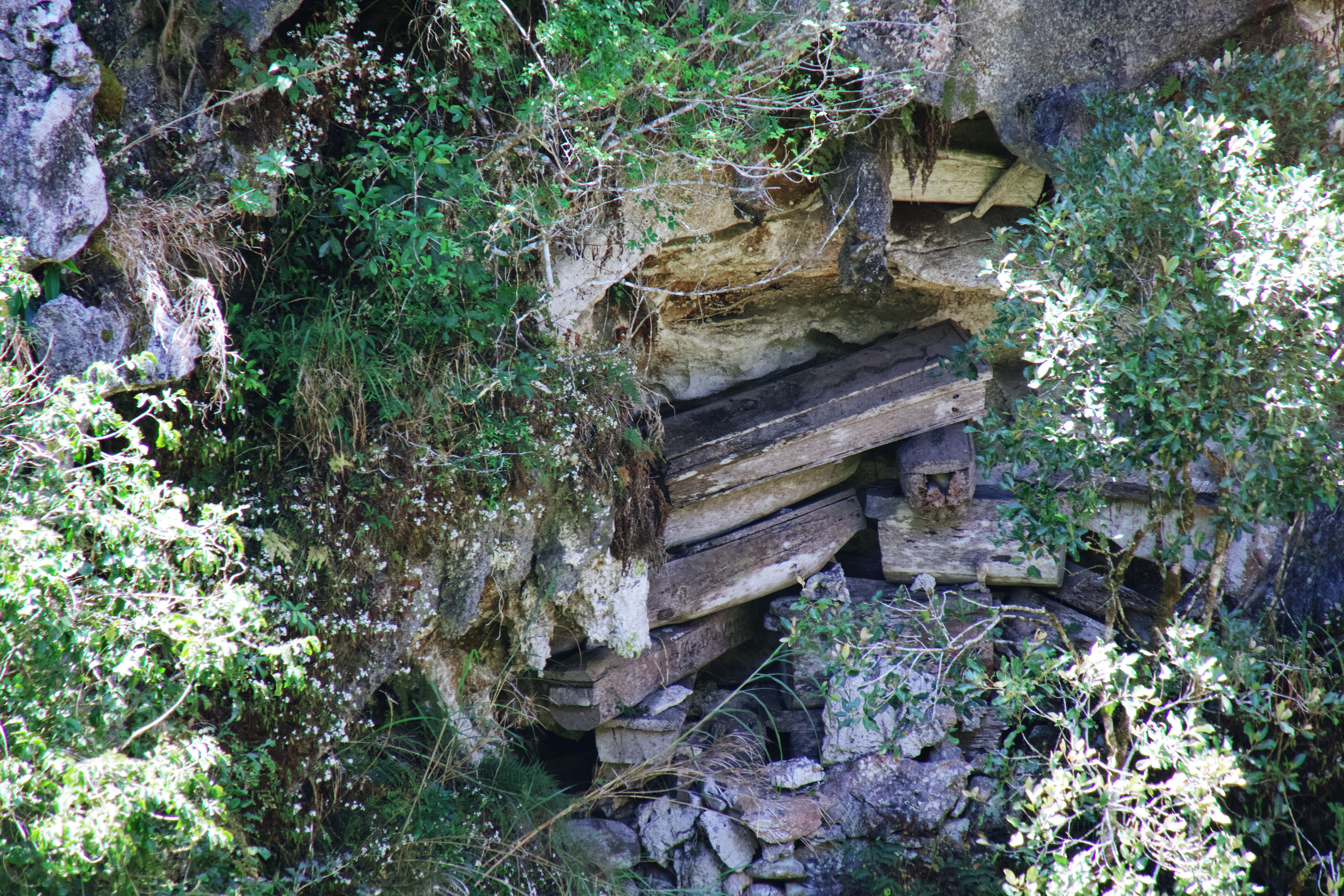 Banaue & Sagada — photograph 8