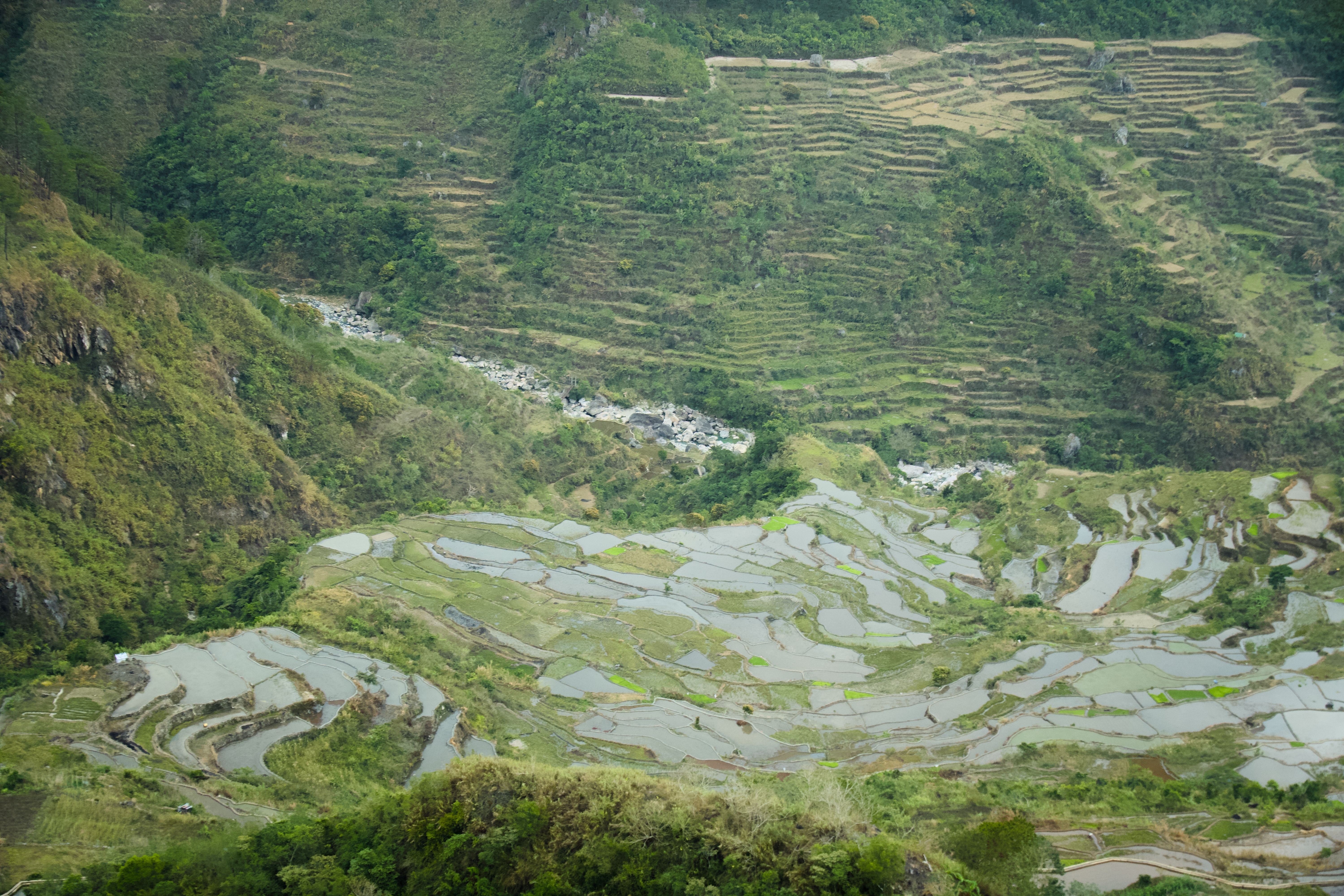 Banaue & Sagada — photograph 11