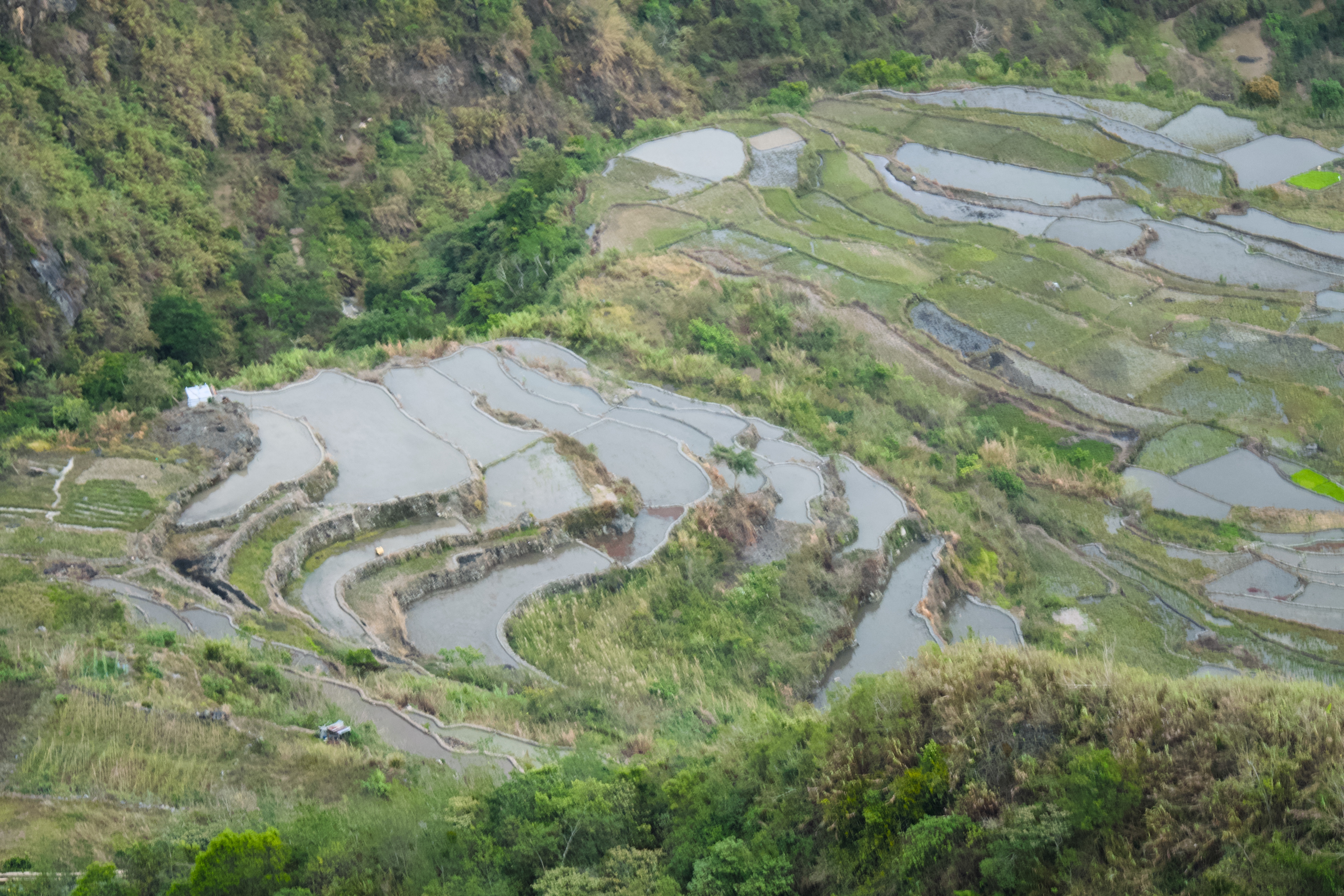 Banaue & Sagada — photograph 12