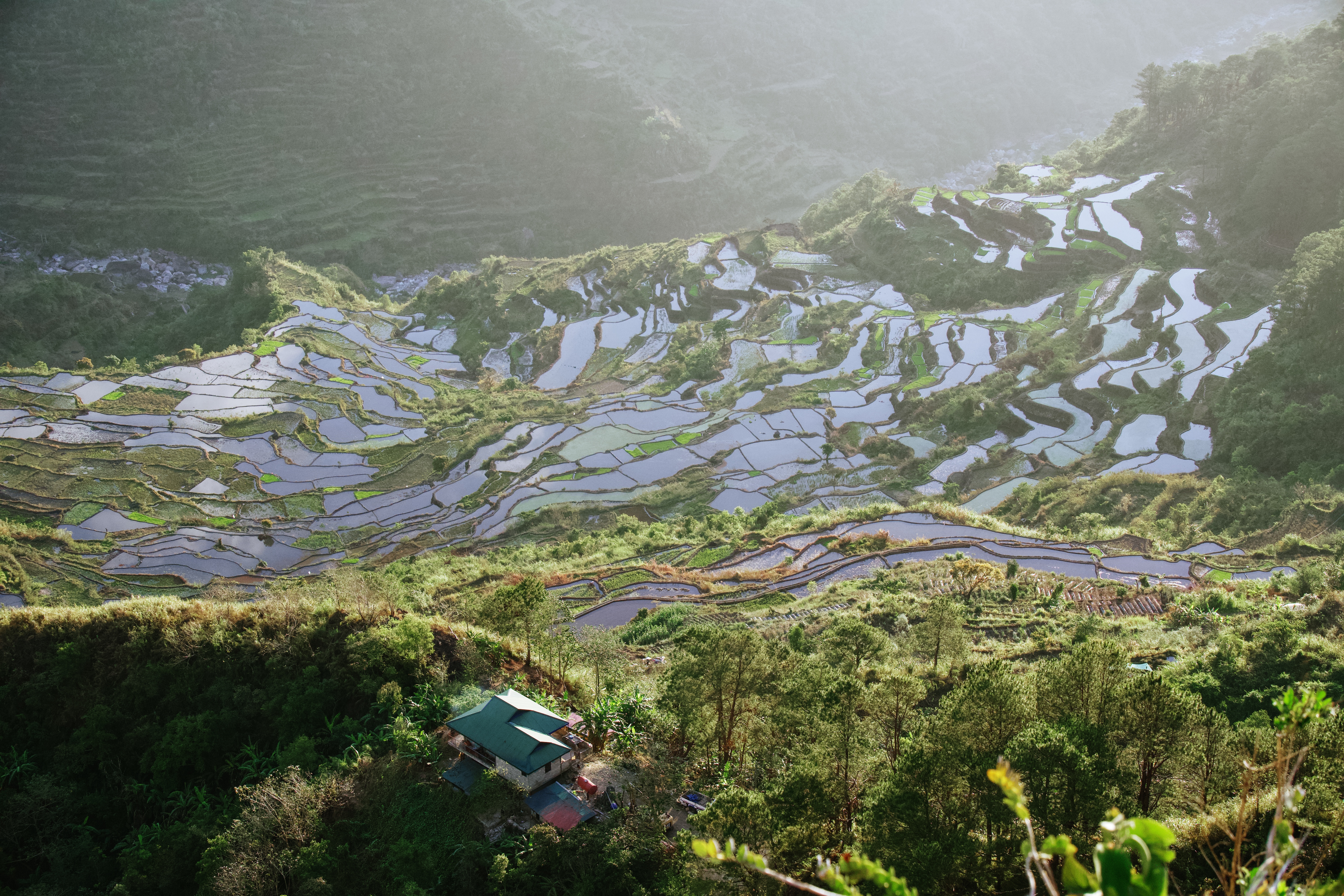 Banaue & Sagada — photograph 16